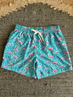 Chubbies The Domingos Are For Flamingos Swim Trunks